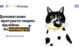 IBOX BANK вместе с Visa помогает животным, пострадавшим от войны