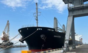 «Зерновой караван» достиг берегов Турции