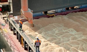 Зерновые коридоры: Украина экспортировала уже более 370 тыс. тонн агропродукции