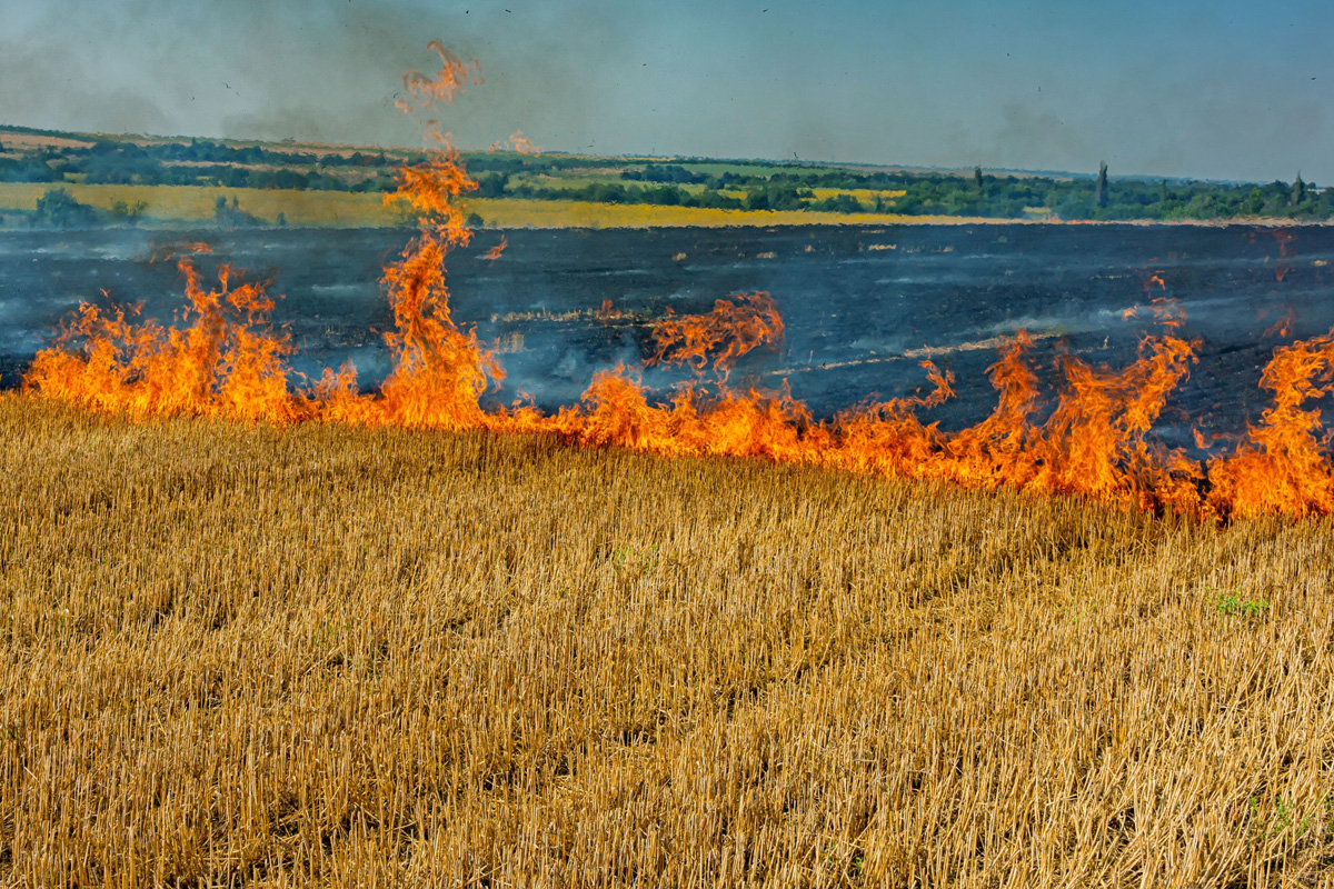 Названо число людей, которые будут голодать в мире из-за россии