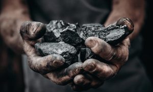 Индия покупает российский уголь: платит азиатскими валютами – Reuters