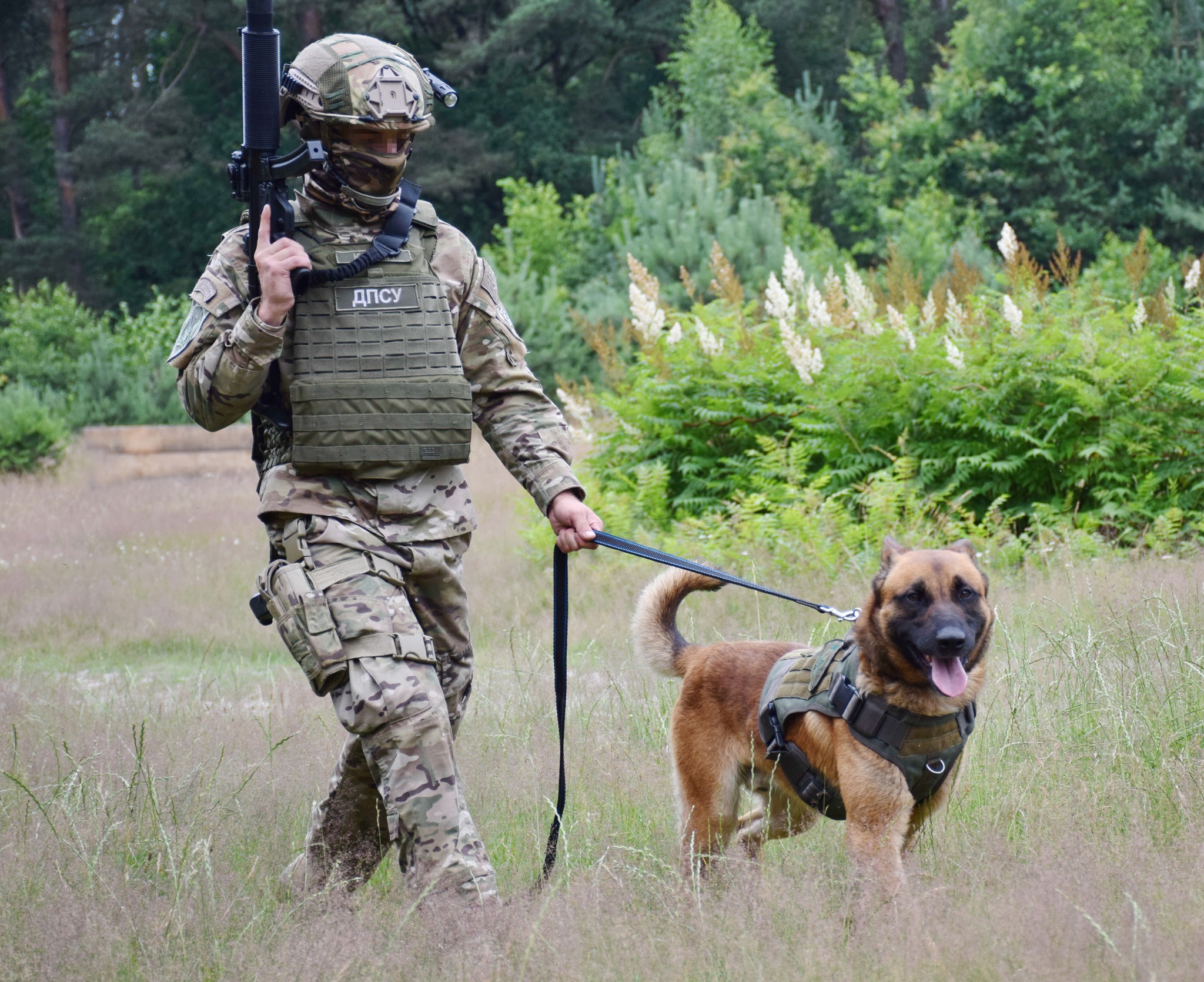 У Держприкордонслужбі з’являться розшуково-штурмові собаки