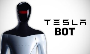 Илон Маск назначил дату презентации первого человекоподобного робота Tesla Optimus