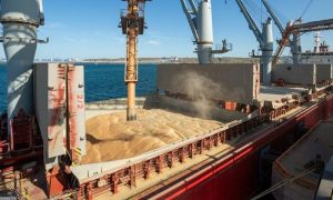 Из украинских портов вышли еще четыре судна с продовольствием