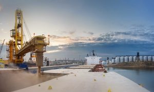 С Украины вывезли более 1,7 млн ​​тонн продовольствия