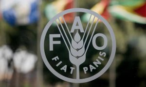 FAO в Украине: создание Проектного офиса – какие цели