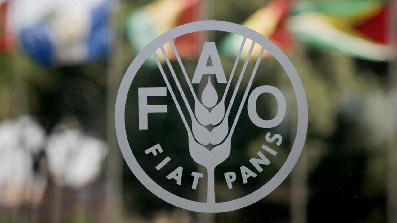 FAO в Україні: створення Проєктного офісу – що вирішуватимуть