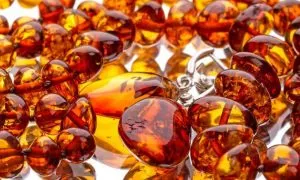 Фото: на митниці зупинили унікальний бурштин, який прямував до США та Британії