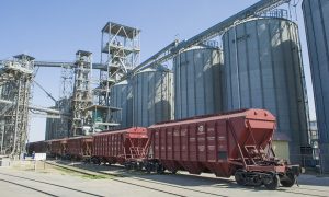 В августе «Укрзализныця» нарастила перевозку зерновых на 42%.