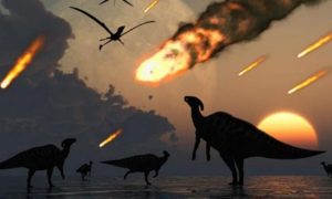 Ученые выяснили настоящую причину вымирания динозавров