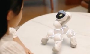 Видео: компания Xiaomi представила модульного робота, умеющего танцевать