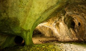 В Польше обнаружили следы первобытного человека, жившего полмиллиона лет назад