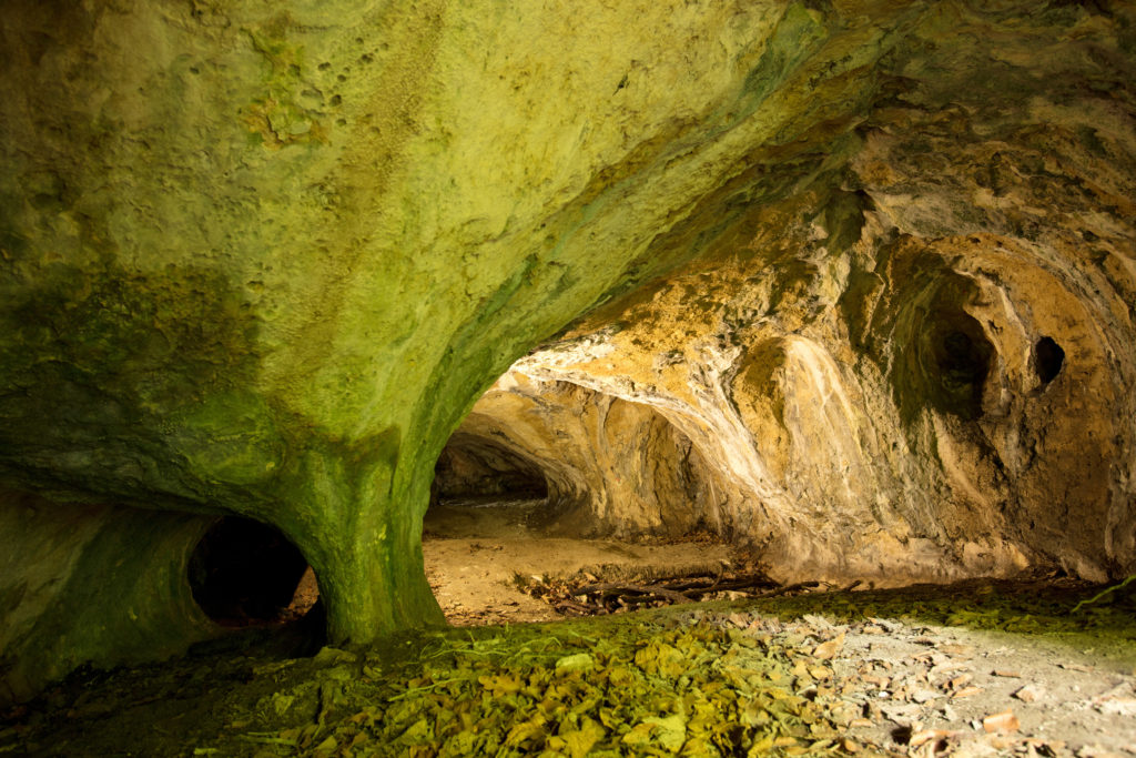В Польше обнаружили следы первобытного человека, жившего полмиллиона лет назад