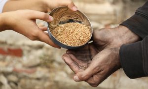 Мировые цены на продовольствие продолжают падать: цифры