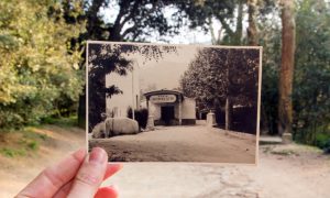 Ученые наконец разгадали, почему возникает ощущение дежа вю