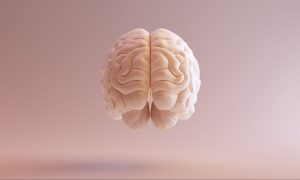 Ученые из Стэнфорда вырастили живой мозг из человеческих клеток