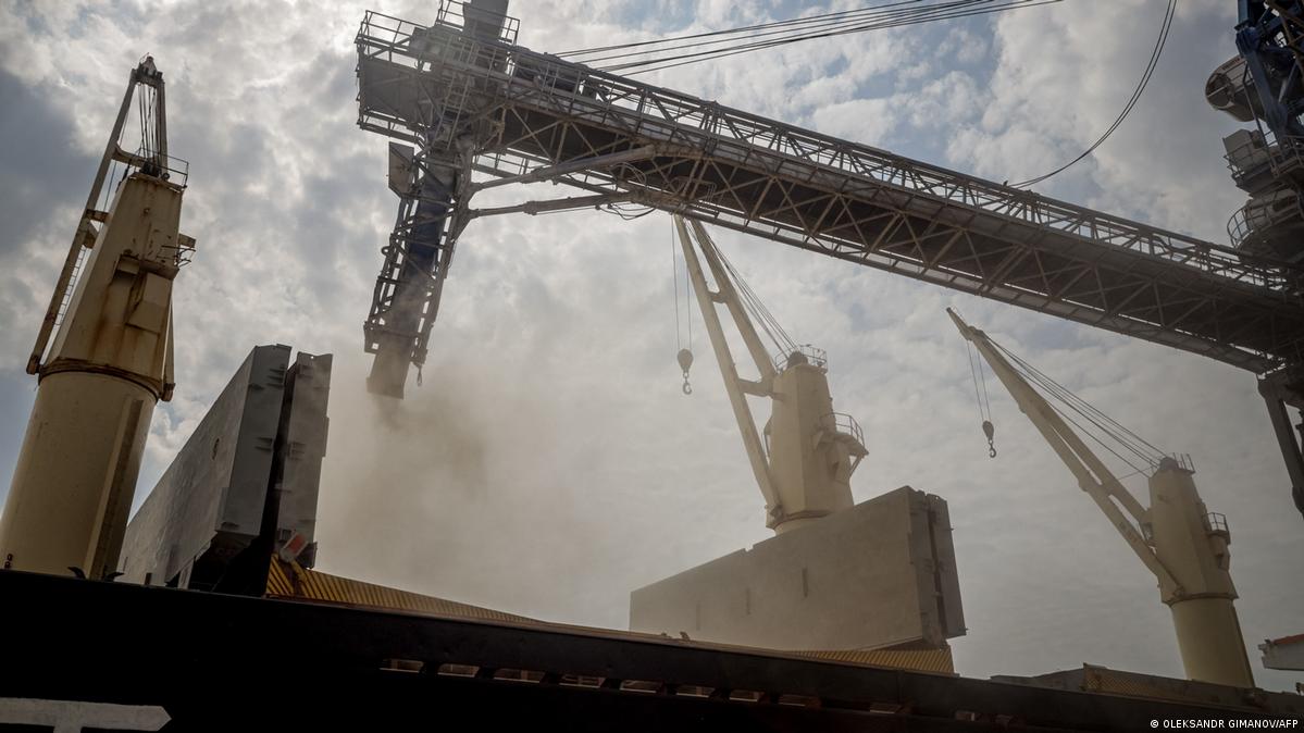 Експорт агропродукції: обсяг поставок з морських портів за тиждень скоротився на 8% - УКАБ