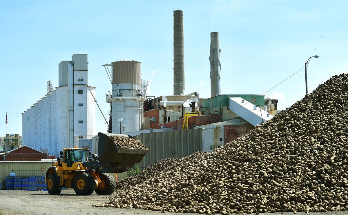 Стартовал сезон сахароварения: Винница переработает 2 млн тонн сахарной свеклы
