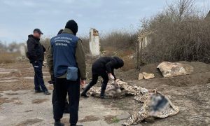 В Херсонской области оккупанты казнили семью фермеров