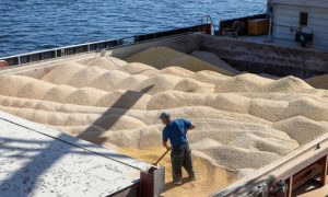 Украина, Турция и ООН приостановили движение по «зерновому коридору» 2 ноября