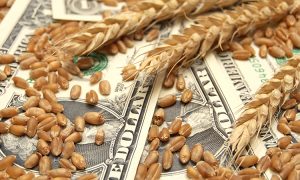 Падают седьмой месяц подряд: что происходит с мировыми ценами на продовольствие