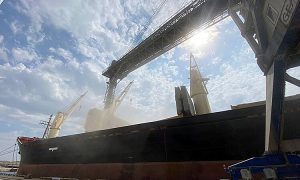 «Зерновой коридор»: прошло более полутысячи судов