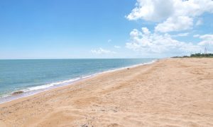 Ищут новые пути: оккупанты хотят построить дорогу на Арабатской стрелке