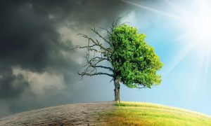 Кліматологи прогнозують найспекотніший рік в історії