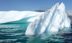 Нова нейромережа може неймовірно швидко картографувати айсберги