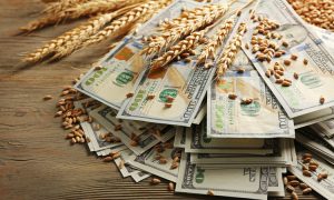 Тревожные признаки с точки зрения продовольственной безопасности – что прогнозирует ООН