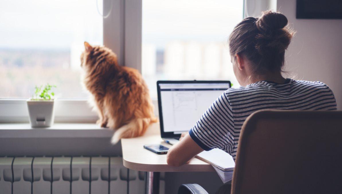 Польша включит дистанционную работу в Трудовой кодекс