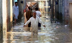 Стихийное бедствие в Пакистане: ущерб от паводков этого года превысил $30 млрд