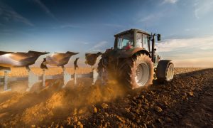 Посевные площади под зерновыми в 2023 году: сократятся на 22% – прогноз УКАБ