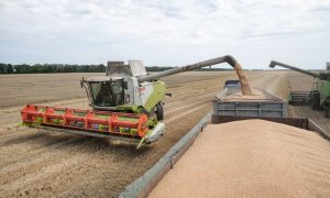 Цены на продовольствие в ноябре продолжили снижаться благодаря «зерновой сделке» – ООН