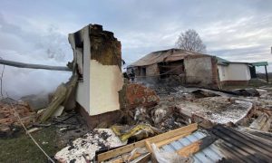 россияне расстреляли ферму с коровами на Сумщине