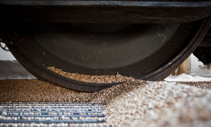 Украли на миллиард долларов: масштаб мародерства рф украинского зерна - Bloomberg