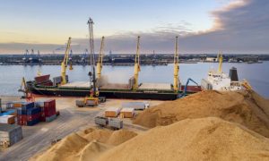 Проверяют суда по четыре часа: рф целенаправленно саботирует зерновой коридор