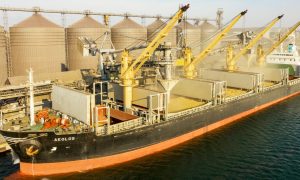 Венгрия способствует вывозу зерна из Украины в Африку — выделяют $3,5 млн