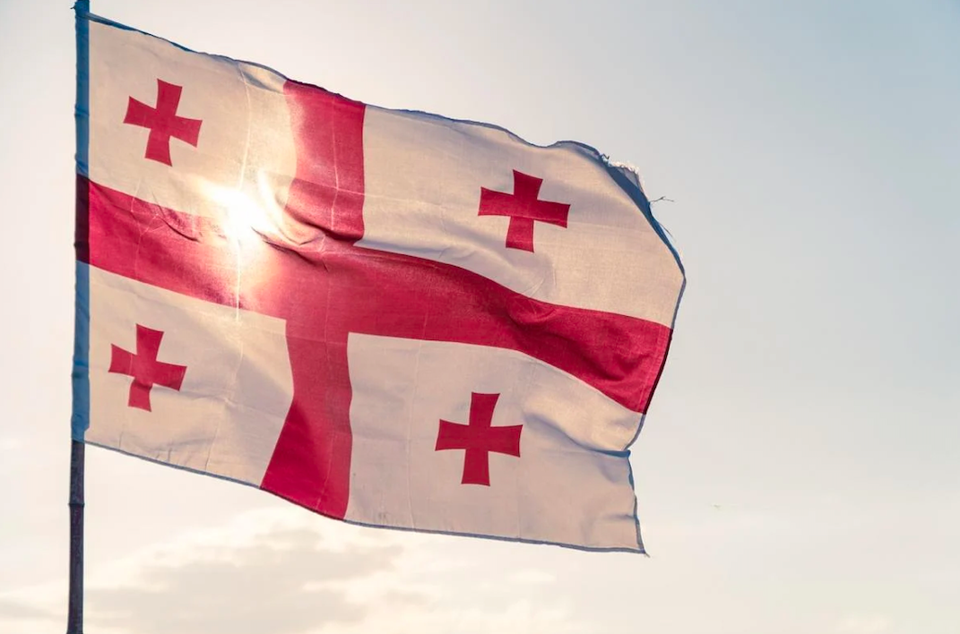 Президент Грузии требует разобраться с пребыванием россиян в стране