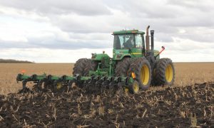 В Украине прогнозируют значительное сокращение урожая в 2023 году