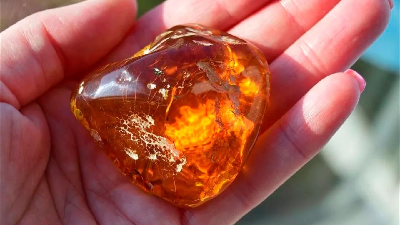 На Житомирщине конфисковали янтарь более чем на 33 млн грн