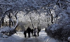 Без осадков и с прояснениями: синоптики дали прогноз погоды на 15 января