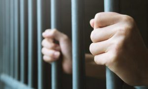 Верховный Суд отправил террористку «днр» на 13 лет в тюрьму