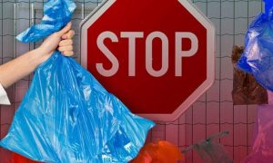 Ограничения на пластиковые пакеты: за год украинцы снизили их использование на 40-90%