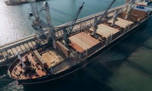 Зафрахтованное ООН судно с 30 тыс. тонн пшеницы для Эфиопии вышло из украинского порта
