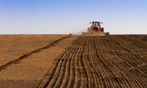 Четвертая часть посевной площади в Украине заблокирована из-за войны, - Минагрополитики