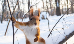 Синоптикиня розповіла, коли в Україні потеплішає