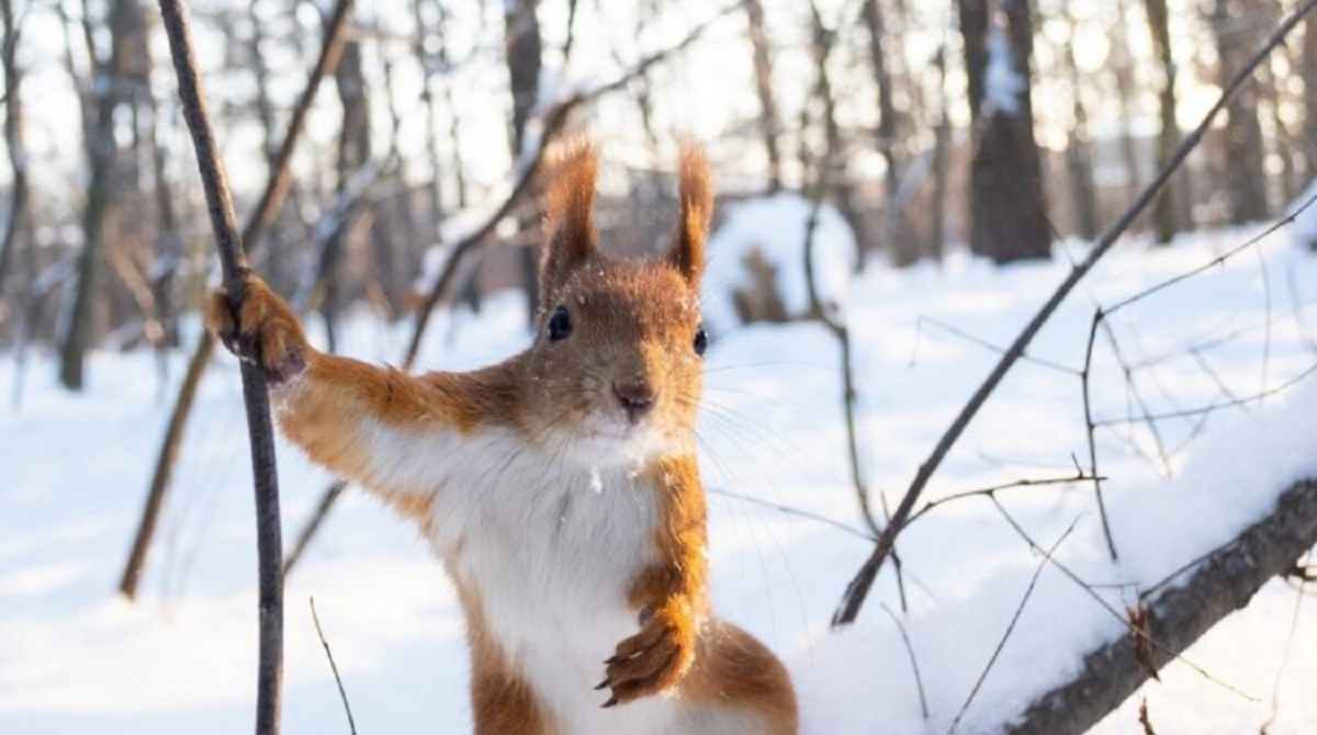 Синоптик рассказала, когда в Украине потеплеет