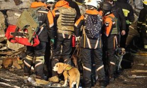 Кабмин отправил в Турцию отряд спасателей и поисковых собак