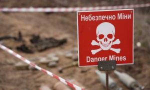 Для детей и не только. В Украине создали сайт о минной безопасности